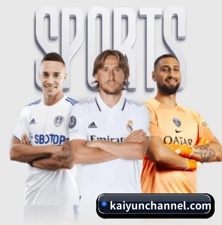 kaiyun APP(kaiyun.com)